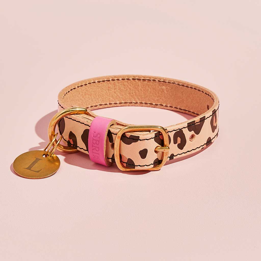 Luxury Leather Dog Collar sbri