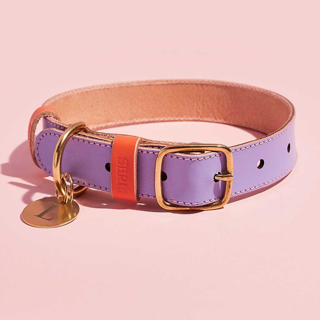 Luxury Leather Dog Collar sbri