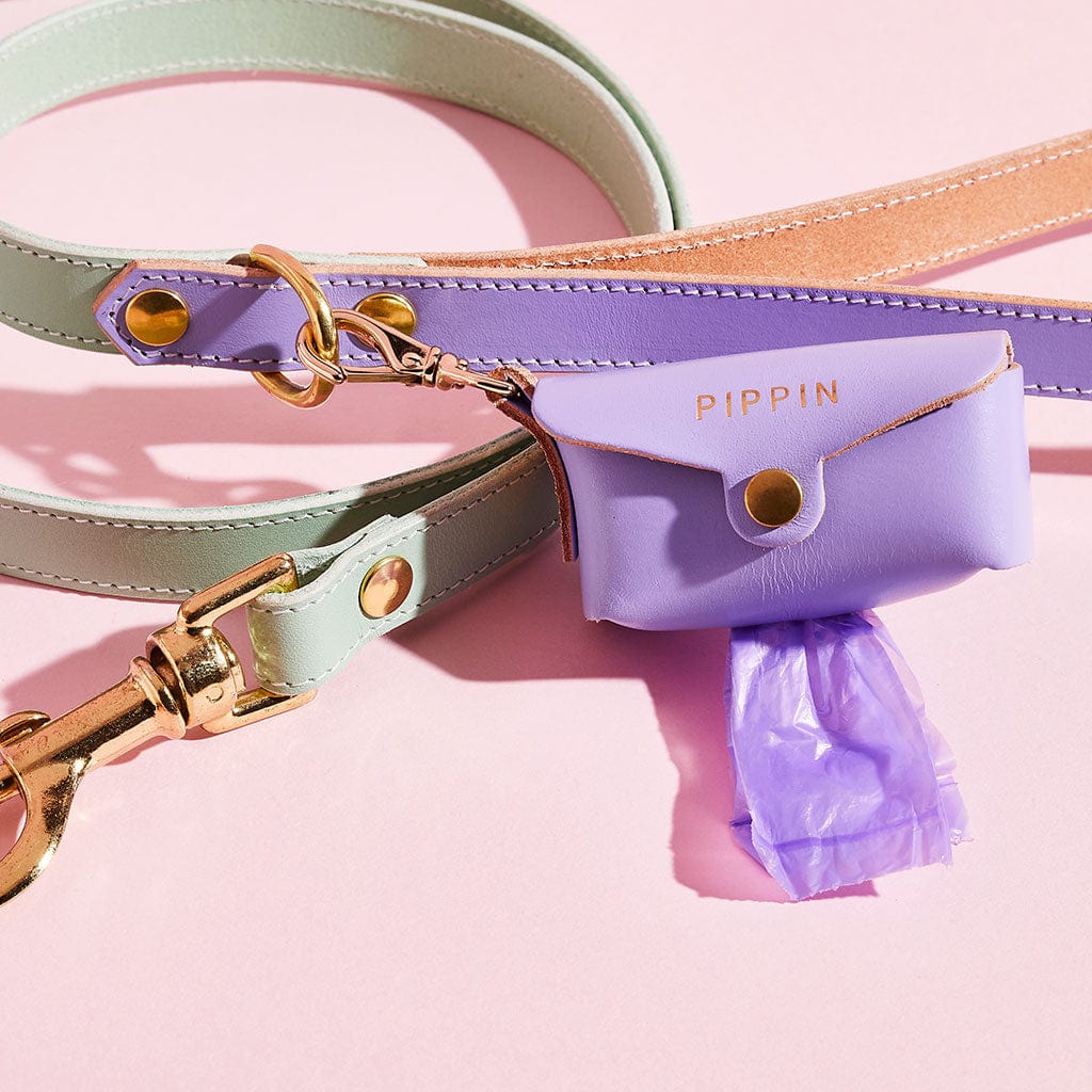 Luxury Leather Dog Lead sbri
