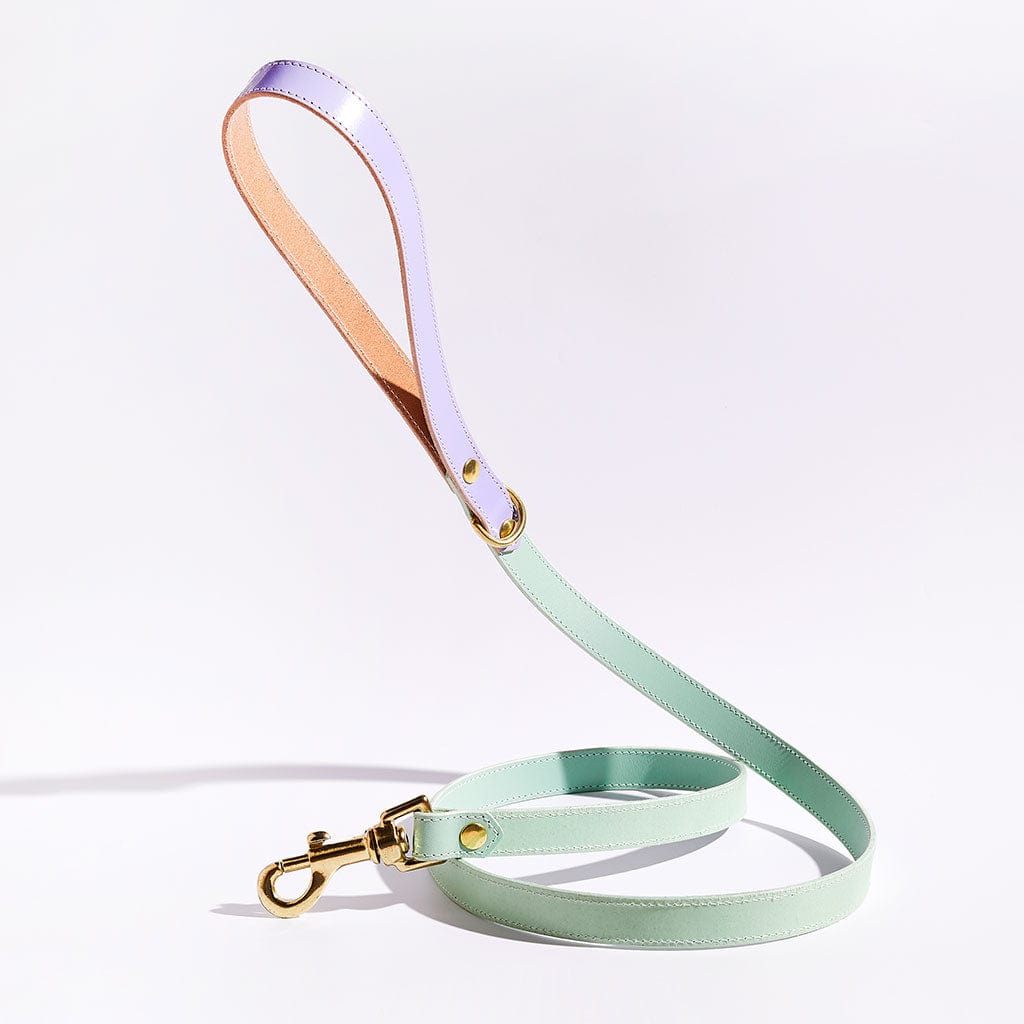 Luxury Leather Dog Lead sbri