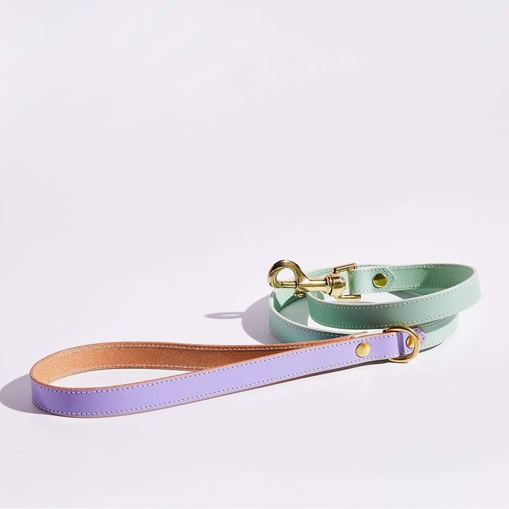 Luxury Leather Dog Lead sbri