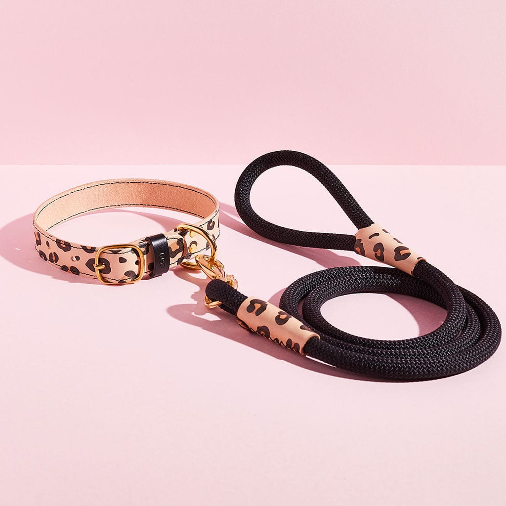Luxury Rope Dog Lead sbri