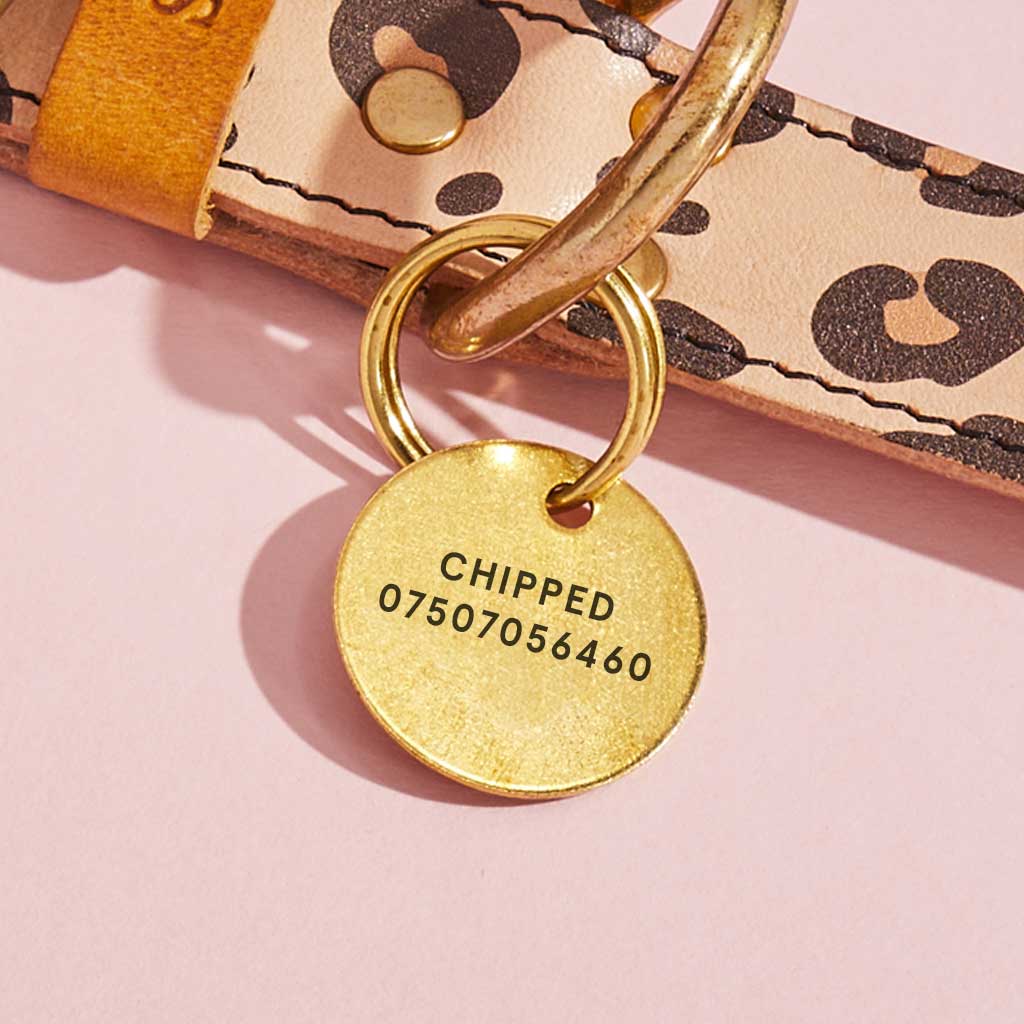 Personalised Dog ID Tag sbri