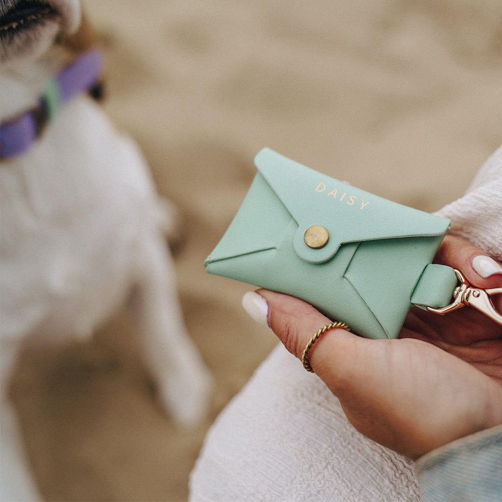 Personalised Leather Dog Treat Pouch SBRI