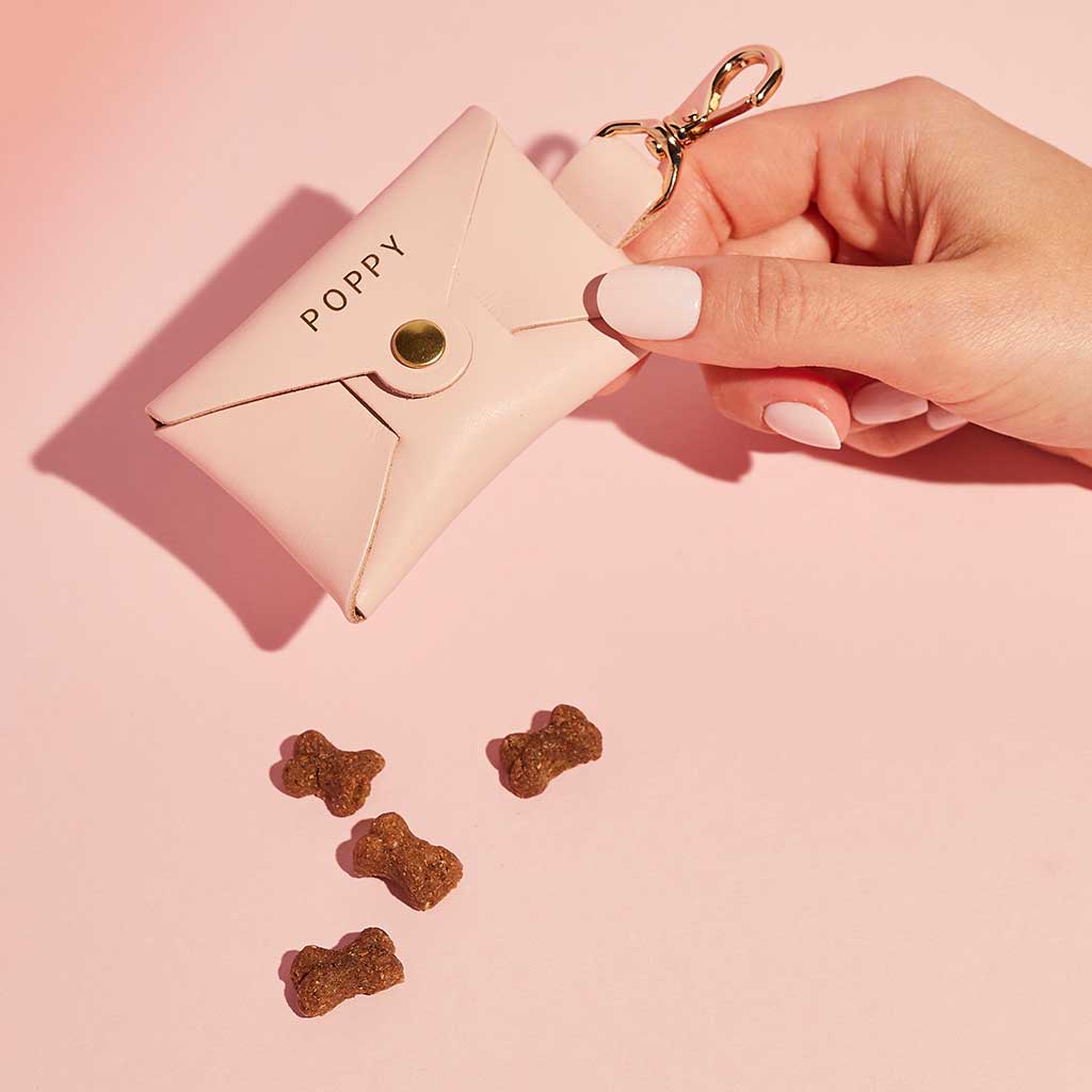 Personalised Leather Dog Treat Pouch SBRI