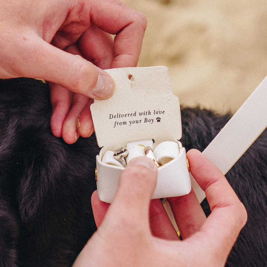 Personalised Wedding Dog Collar and Ring Bearer Pouch Set Create Gift Love