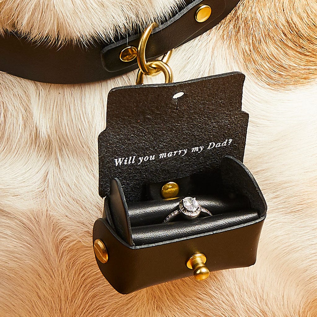 Personalised Engagement Ring Proposal Pouch For Dogs Create Gift Love