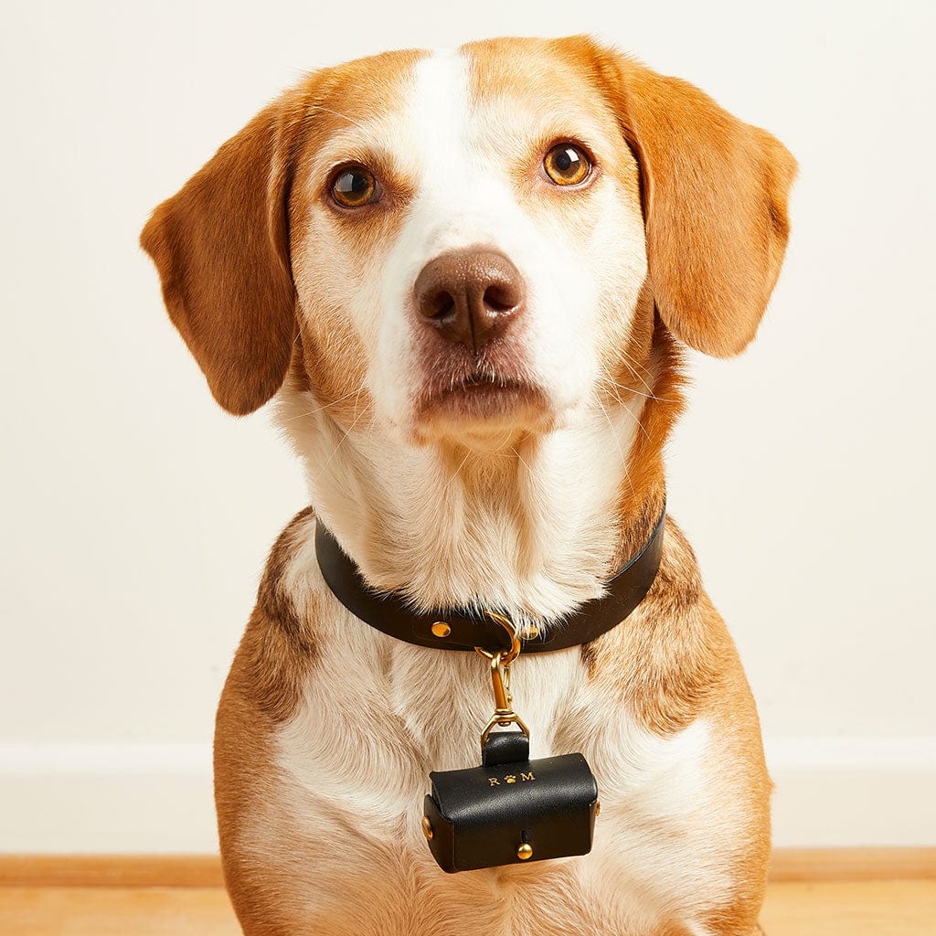 Dog Ring Bearer // Photography ~ @shannonduggan - Chic Vintage Brides :  Chic Vintage Brides